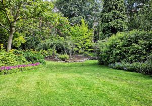 Optimiser l'expérience du jardin à Perrigny